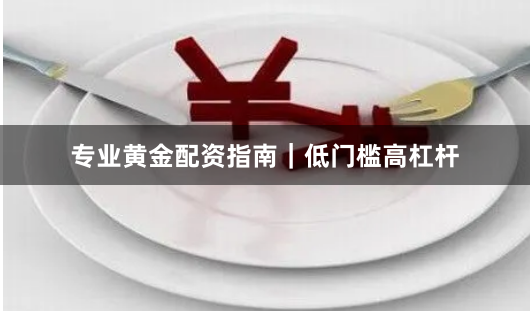 专业黄金配资指南｜低门槛高杠杆